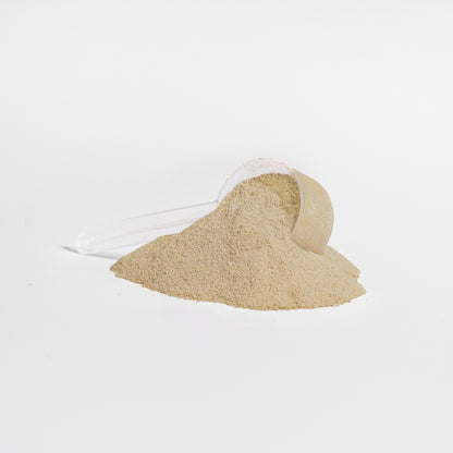 Power Plant Protein (Vanilla)