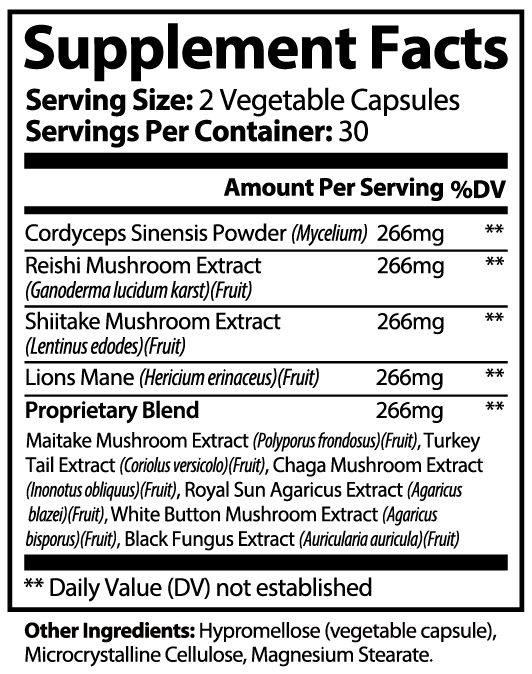 Wild Mushroom 10 X