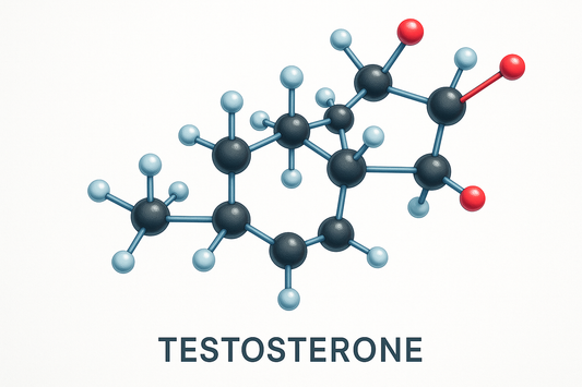 testosterone